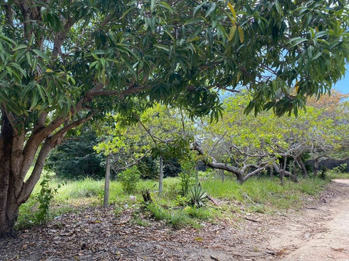 Imagem 1 de 4 de Maravilhosa Esquina De 450m² No Village Jacumã - Te0805