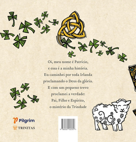 São Patrício, O Perdoador: A História E A Saga Do Bispo Da Irlanda | Ned Bustard, De Ned Bustard. Editorial Trinitas, Capa Mole Em Português