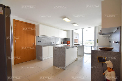 Imagen 5 de 24 de Exclusivo Departamento Tiburon Terrazas Oceano Punta Del Este Con Pileta Propia