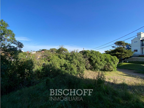 Venta De Lote En Ostende Calle Moreno