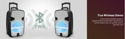 Imagen 9 de 10 de Parlante Aiwa Aw-p1200d-sn Portatil Bluet Pmpo 6000w Premium