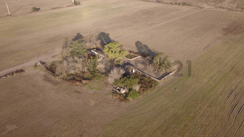 Venta De Campo, Capitán Bermúdez | Valor X Hectárea