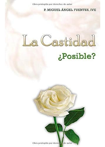 Libro: Castidad Posible (spanish Edition)