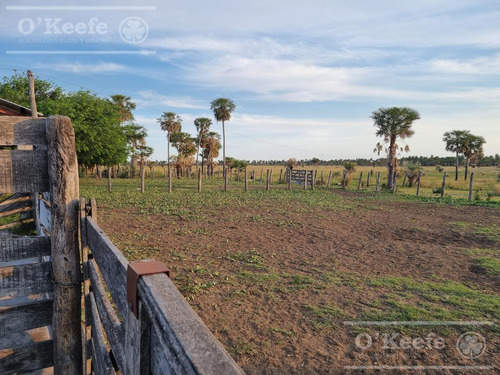 Campo En Venta 1217 Has En Villa Guillermina, Santa Fe.