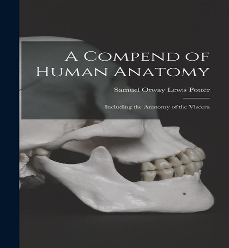 A Compend Of Human Anatomy, De Samuel Otway Lewis Potter. Editorial Legare Street Press, Tapa Dura En Inglés