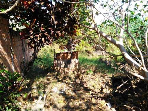 Imagem 9 de 15 de Terreno Para Venda Em Rio De Janeiro, Campo Grande - 216_2-785864