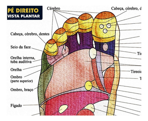 Poster Mapa Reflexologia Podal 45x60cm Profissional