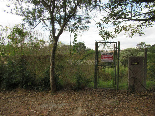 Imagem 7 de 12 de Granja Viana - Fazendinha - Te9442