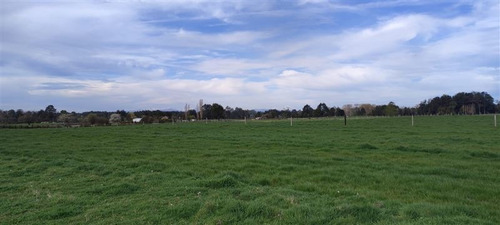 Imagen 10 de 11 de Se Vende Terreno Agrícola 1,5 Ha Quema Del Buey, Puyehue,