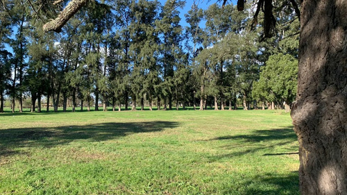 Imagen 10 de 14 de Terreno En Venta En Alejandro Petión