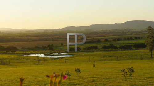Imagen 18 de 18 de Chacra En Venta Abra De Perdomo 3 Dormitorios, 5.8 Hectáreas