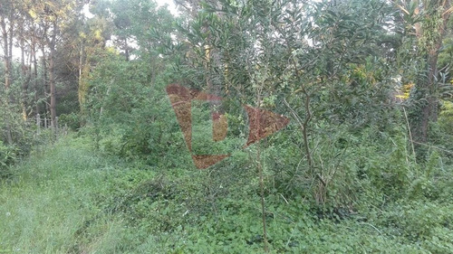 Terreno En Venta En Valeria Del Mar