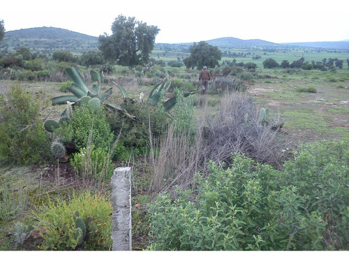Terreno En Zempoala Hidalgo De 640 Metros Cuadrados.