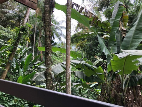 Imagem 10 de 14 de Terreno Em Blumenau - Vila Formosa - 909