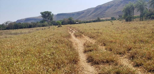 Fazenda De Gado Arinos Mg 2.250 Hectares 65.000,000,00 - 38491