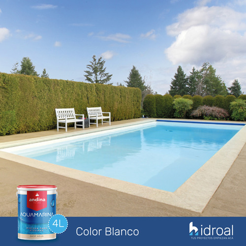 Andina Membrana Para Piscinas Piletas Al Agua 4 Lts Colores Color Verde/agua