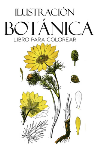 Libro: Ilustración Botánica Libro Para Colorear: Páginas Par