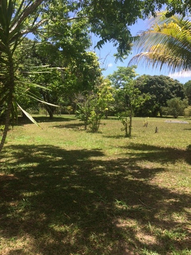 Melhor Área P/loteamento 91m Beira Pista, Granja 5.05 Hec, Guabiraba, Aceito Imóvel Ou Carro - Ch00009 - 67721727