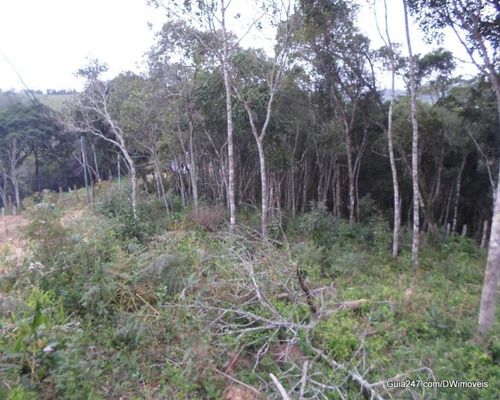 Imagem 2 de 15 de Terreno - 03870 - 33228930