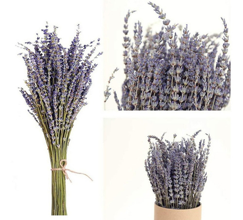 Flores Decorativas De Lavanda Secas, 50 Unidades