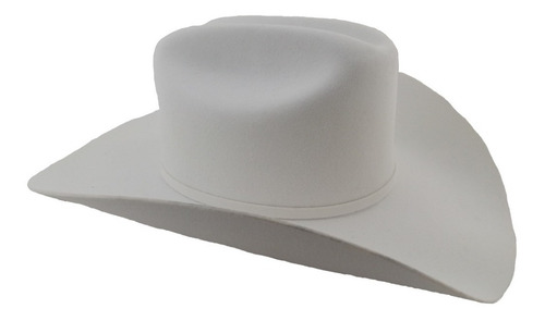 Imagen 2 de 4 de Sombrero Texana 4 X Marca Stetson Blanco Lana Pelo De Búfalo
