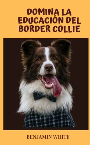 Domina La Educación Del Border Collie: Sumérgete En El Mundo