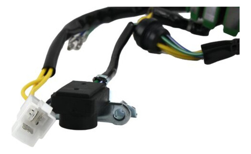 Estator Para Moto Hornet 250 Tekken 250