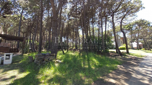 Imagen 4 de 4 de Lote En Venta - Zona Aromos / Ref: 1572