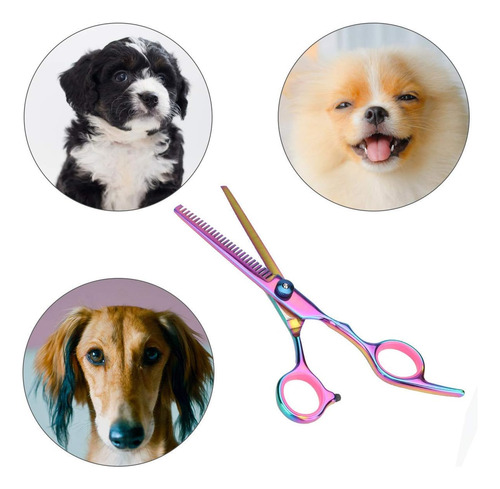 Perro Mascotas Acicalado Tijeras Tijeras Recta Y Curva Y Ade