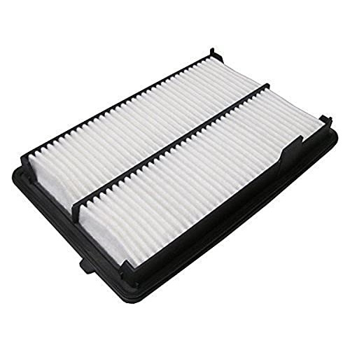 Filtro Ecogard Xa10004 Premium De Aire Del Motor Adapta Acur