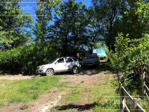 Imagen 16 de 28 de 8.805 Has En Neuquen Venta / Alquiler, Con 18 Km De Costa Del Embalse Piedra Del Águila.