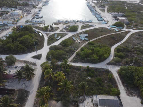 En Venta Amplio Terreno En El Cuyo, Yucatán