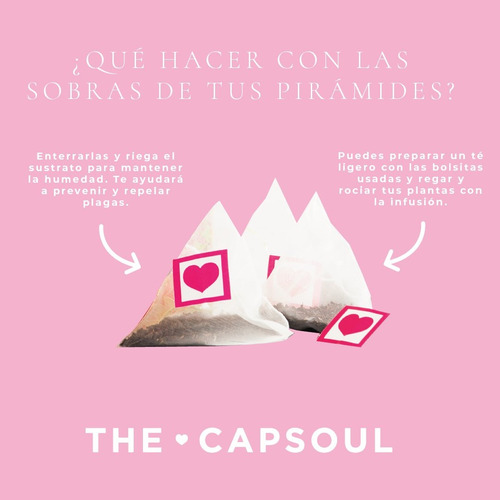 Té Infusión Cítricos X15 Pirámides Sobres The Capsoul España