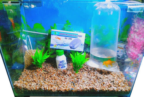 Kit Pecera Completa 40x30x20 Con 1 Pez! El Mejor Precio.