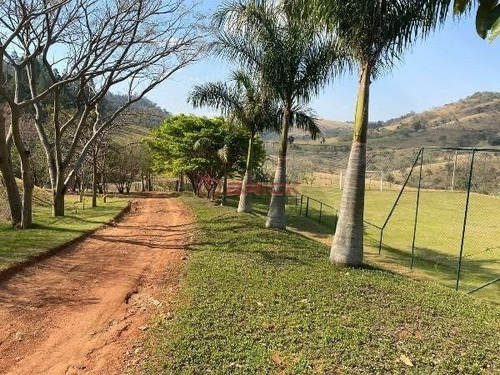Imagem 1 de 12 de Encantador Sítio Próximo À Amparo, São Paulo. - St00218 - 70717751