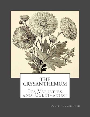 The Crysanthemum Its Varieties And Cultivation