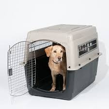 Varikenel Americanos Nuevas Ultra Fashion Petmate Kennel