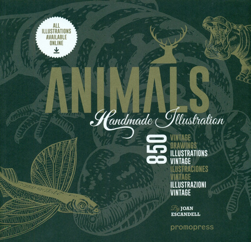 Animals Handmade Illustration, De Escandell, Joan. Editorial Promopress, Tapa Blanda, Edición 1 En Inglés, 2016