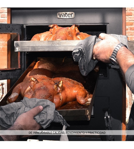 Horno Alta Eficiencia A Leña Cap 2 Lechones Vater Embutir