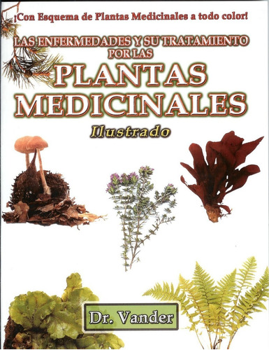 Plantas Medicinales Enfermedades Y Su Tratamiento, Ilustrado