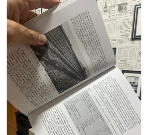 Manual De Culturas Hortícolas Volume Um (Usado)
