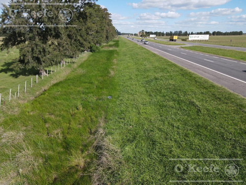 Imagen 5 de 18 de 520 Has - Campo En Venta En La Plata Zonificación Club De Campo