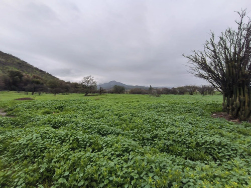 Terreno Uso Comercial