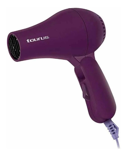 Imagen 1 de 3 de Secadora De Cabello Taurus Juliet 700w
