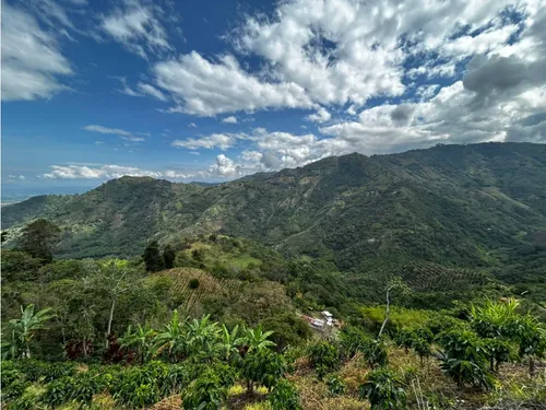 Se Vende Finca En Barragán
