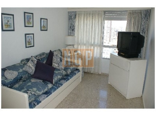 Oportunidad Única -ref:16759