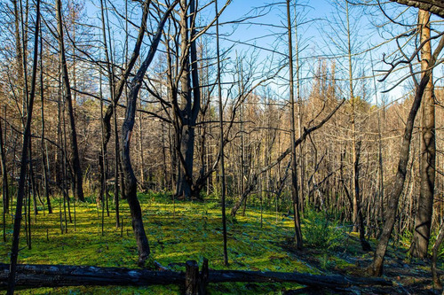 Imagen 25 de 26 de Se Vende 3.5 Hectáreas - Con Cabaña 79 M2 Quincho Galpón - Las Golondrinas - Lago Puelo Chubut