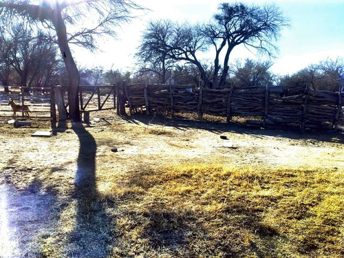 Campo De 593 Has En Puerto Alegre, San Luis