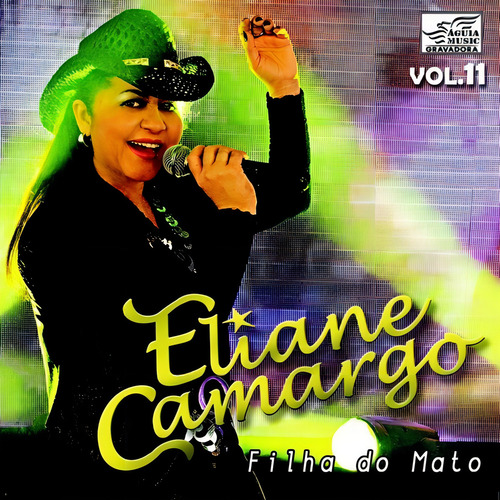 Dvd-eliane Camargo -profissao Cantora