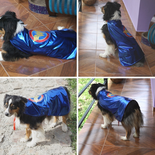 Capa Super Héroes Disfraz Super Pets Perro O Gato Talla 1